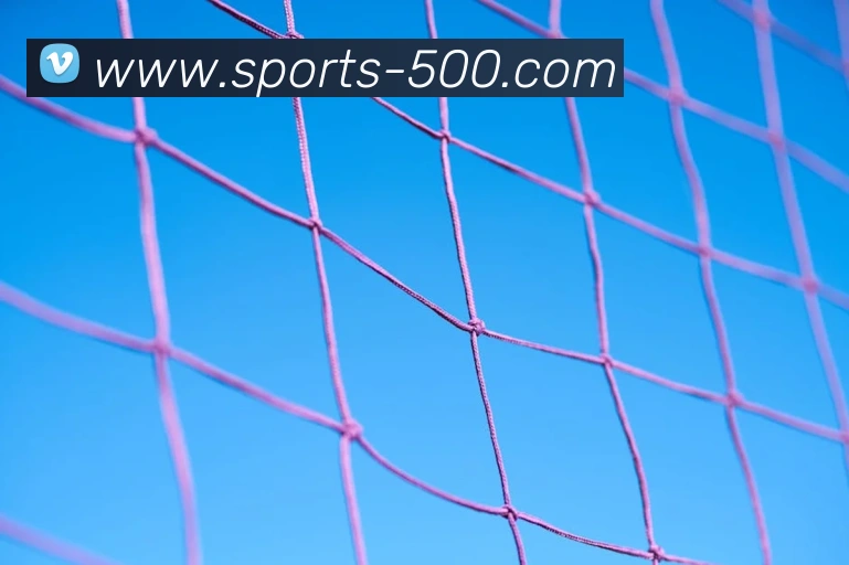 500彩票品牌故事